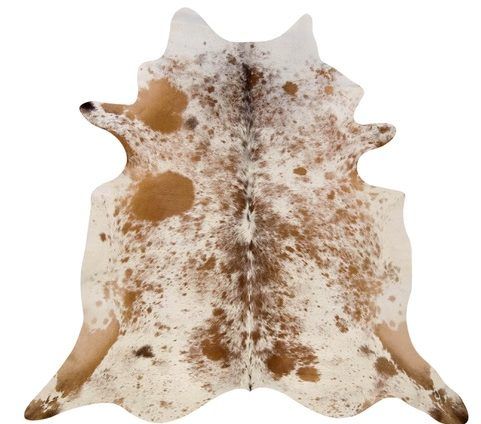 Salt Pepper